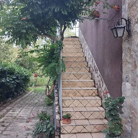 The Stillness Of Grace Albano di Lucania