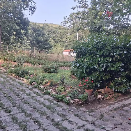 The Stillness Of Grace Albano di Lucania